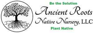 Ancient Roots Native Nursery
