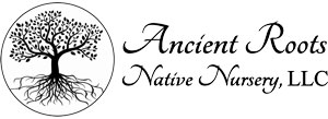 Ancient Roots Native Nursery